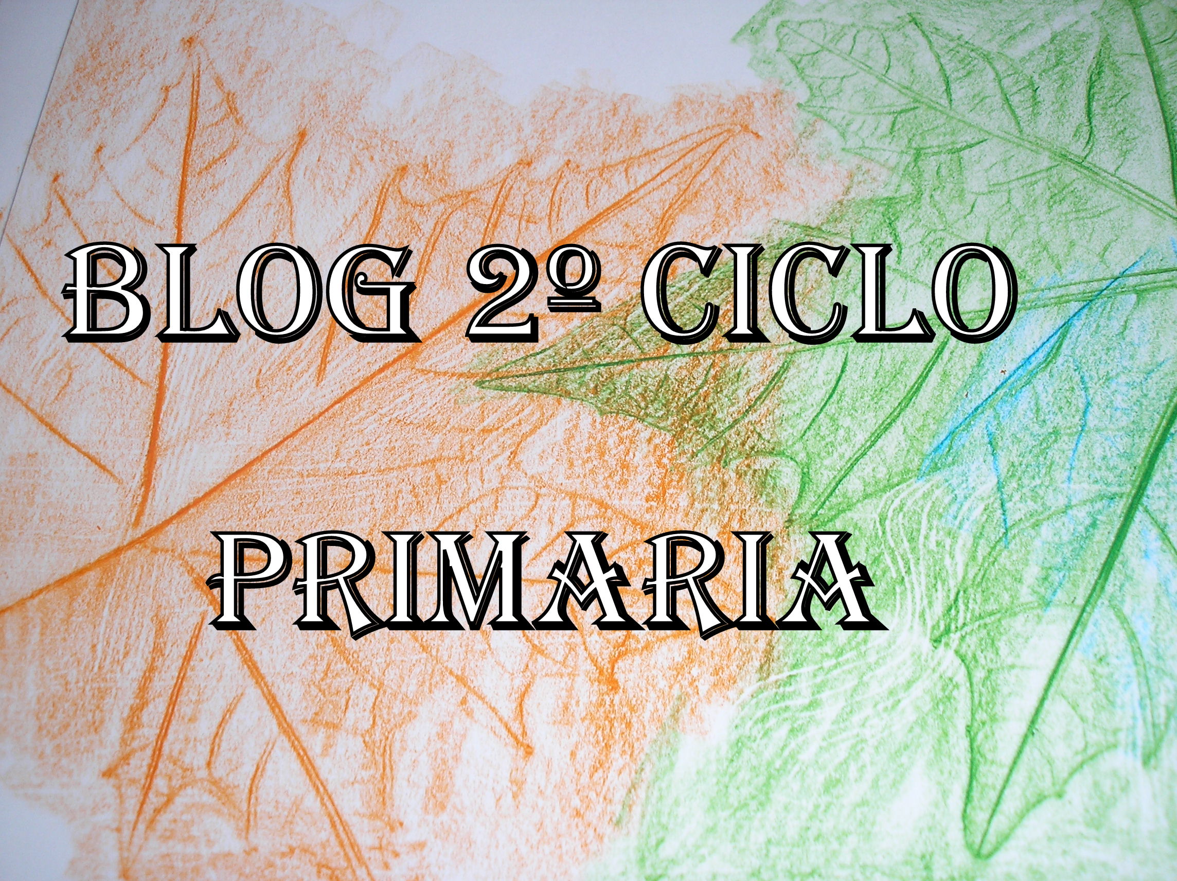 Blog 2 Ciclo